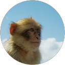 Orange SD profile picture